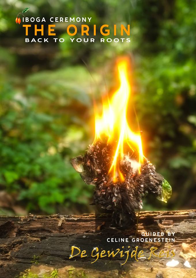 17554618_419278491756208_1106595660_n