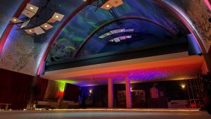 Winter Festival EVENING TICKET, ECSTATIC DANCE